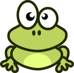 1st bug eye frog