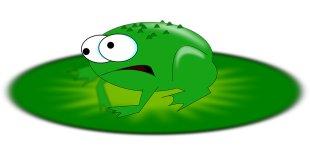 2nd bug frog
